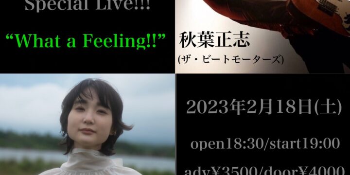 BLAH BLAH BLAH 5th Anniversary Special Live!!! “What a Feeling!!”  【出演】 中野ミホ(Band set) 秋葉正志(ザ・ビートモーターズ)