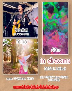 "in dreams" 清水英明(BUGGVALVE) / TONO / AYas 